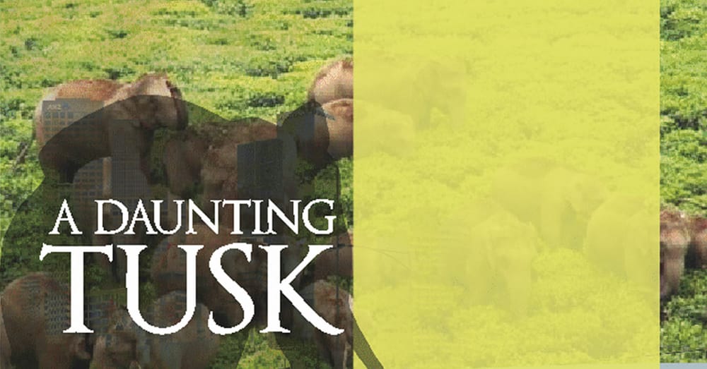 A Daunting Tusk – Fall of an elephant