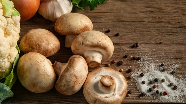 MUSHROOM EXTRAVAGANZA