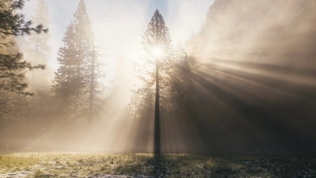 Where the Hare chase the Hound