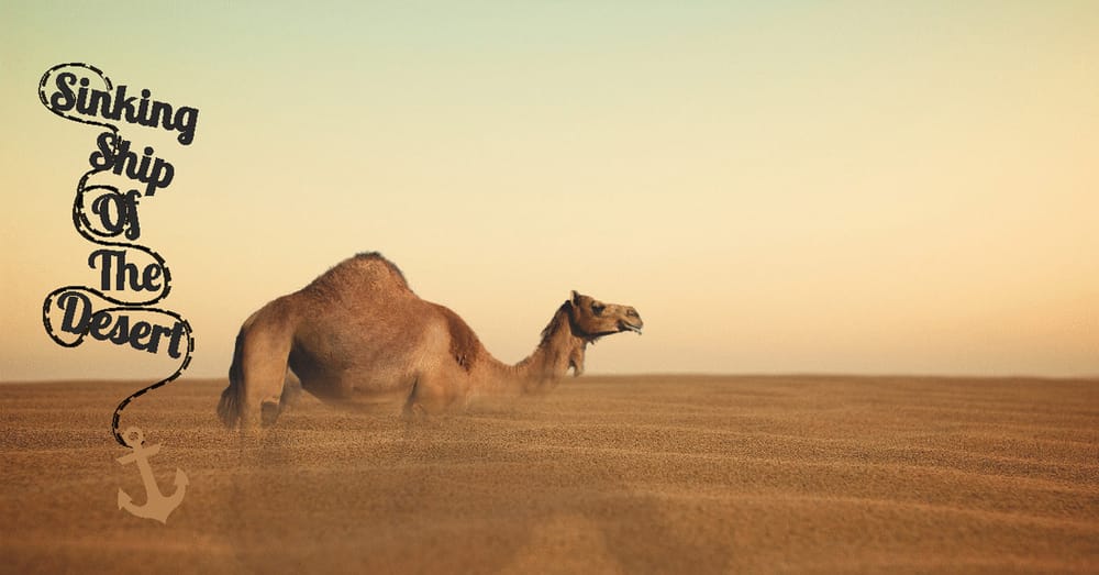 Camel – The Sinking Ship Of The Desert
