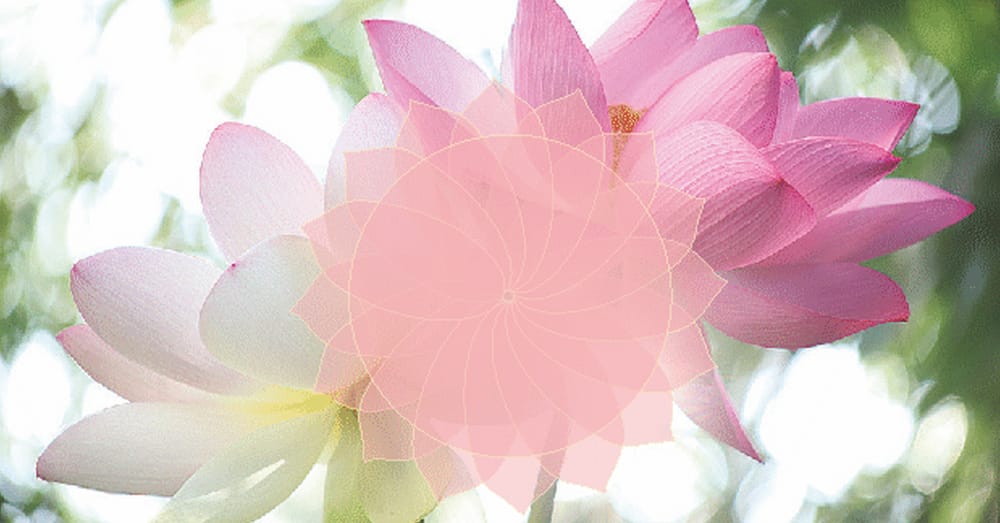 The Secret Ingredient: Compassion