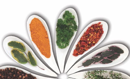 Herb Heaven – Use Them To Your Advantage