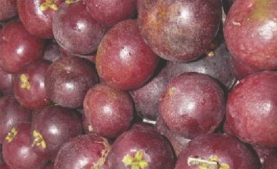 Kokum The Super Fruit