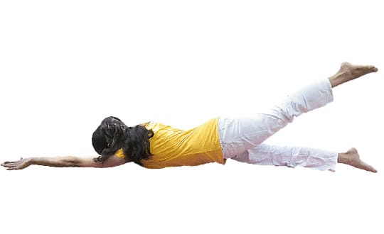 Strengthening The Second Brain – Spine