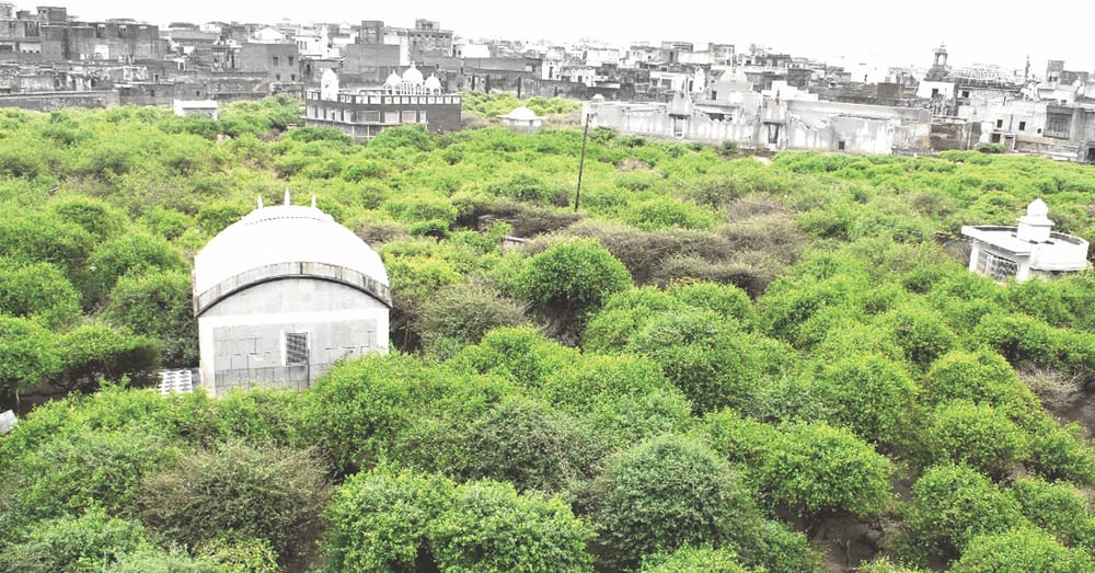 Travel: The Life And Colour Of Vrindavan