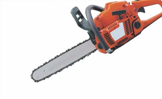 Encroaching Upon Wildlife