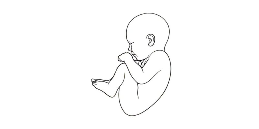 Vedic Embreology vs Modern Neonatal Care