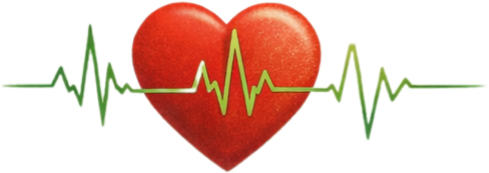 What is a Heart Rate Recovery Test? And why does it matter?