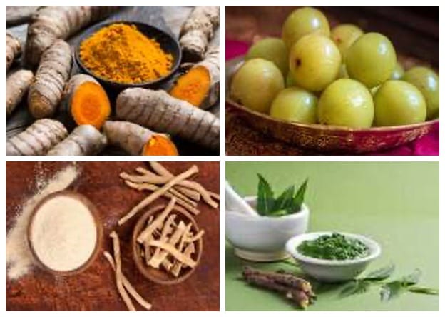 Herbs for Healing
