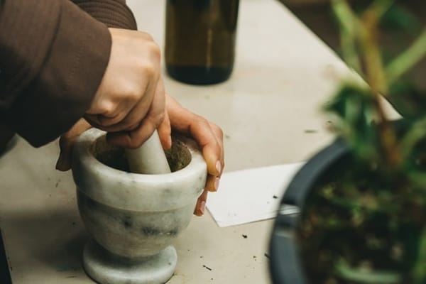 dashanan samhita – Effect of Dravya