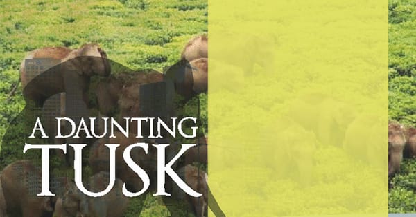 A Daunting Tusk – Fall of an elephant