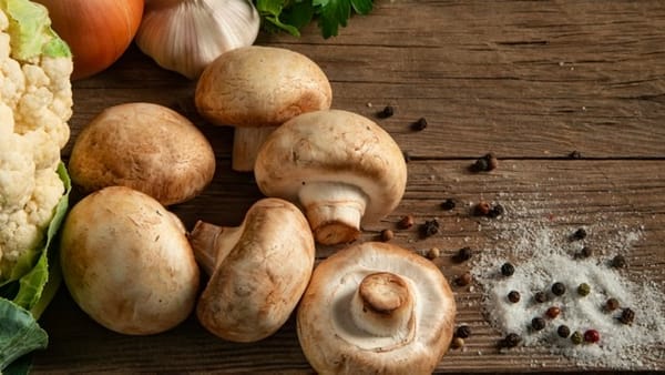 MUSHROOM EXTRAVAGANZA