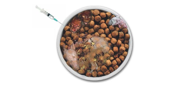 Euthanised Animals In Your Dog Food?