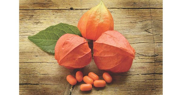 Ashwagandha And Its Benefits