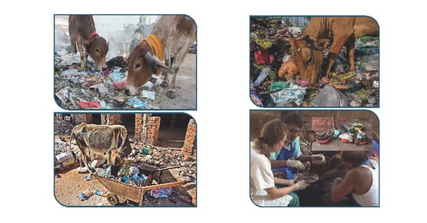 Clean Your City, Clean Your System