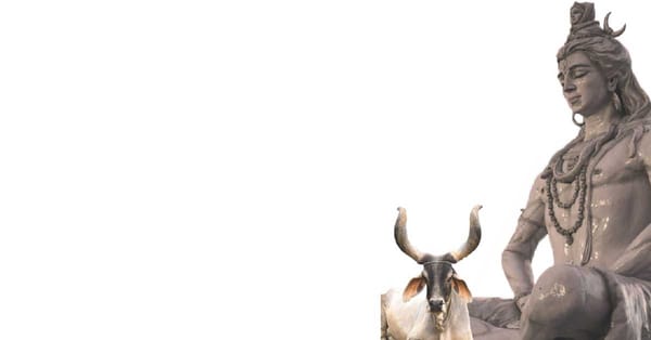 Nandi: Everything you need to know