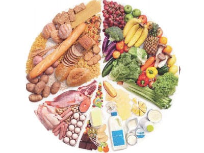 The Digestive Factor