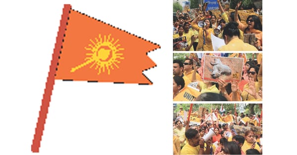 Voicing The Pain Of The Voiceless