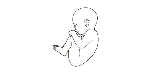 Vedic Embreology vs Modern Neonatal Care