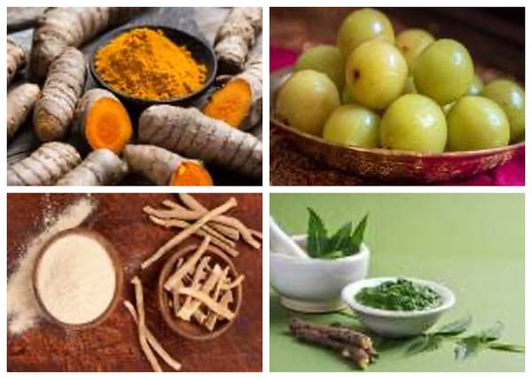 Herbs for Healing